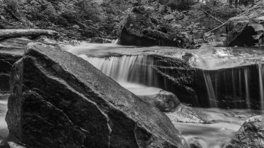 Ormanda güzel bir şelale