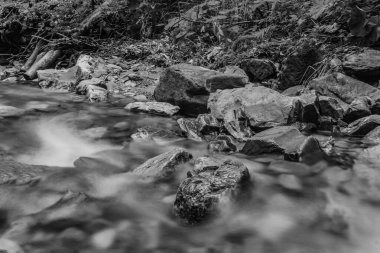 Ormandaki dağ deresi