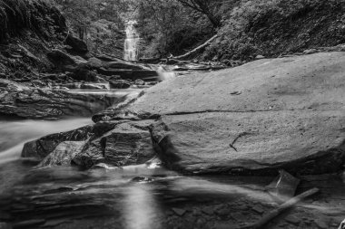 Ormandaki güzel bir şelalenin siyah beyaz görüntüsü.