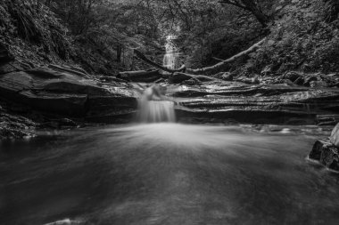 Siyah ve Beyaz Şelale.