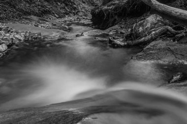 Güzel şelale siyah beyaz