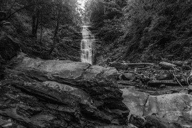 Ormandaki güzel şelale. şelale