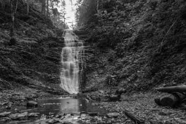 Siyah ve Beyaz Şelale.