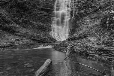Ormanın ortasındaki beyaz şelalenin gri tonlu görüntüsü.