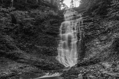 Kara Orman 'daki bir şelalenin dikey görüntüsü.