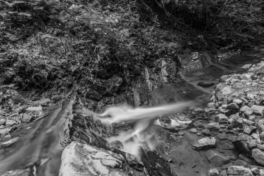 Ormanda güzel bir şelale