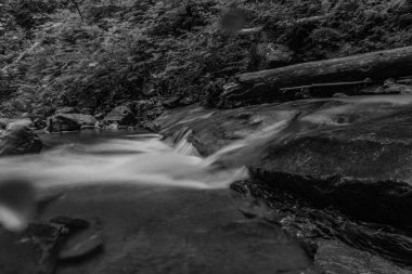 bir şelalenin siyah beyaz fotoğrafı