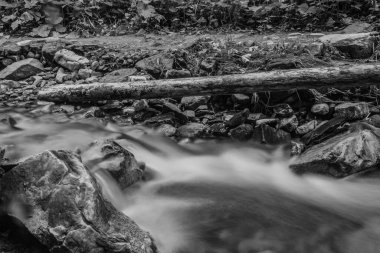 Suyu olan bir nehrin siyah beyaz fotoğrafı