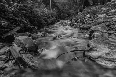 Ormanda güzel bir şelale.