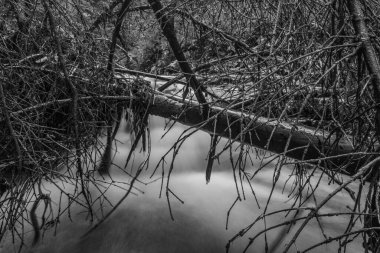 Doğanın güzel manzarası