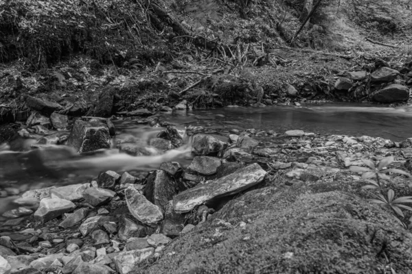 Nehrin güzel manzarası
