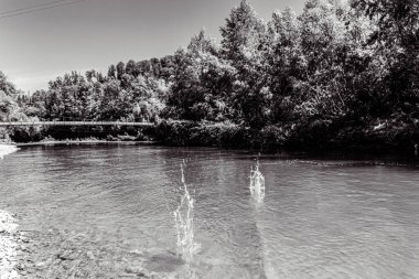 Parkta güzel bir nehir