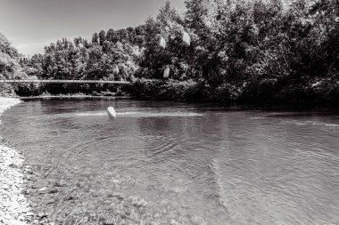 Ağaçlar ve nehirlerle dolu güzel bir manzara.