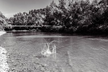 Ağaçlı güzel bir nehir manzarası.