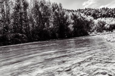 Dağ ormanındaki nehir. Doğa ve nehir. siyah ve beyaz.