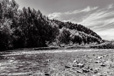 Kayalık bir dağın içinden akan bir nehrin dikey görüntüsü.