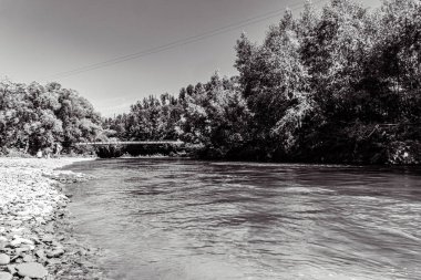 Ağaçların ve yeşilliklerin arasından akan güzel bir nehir görüntüsü.