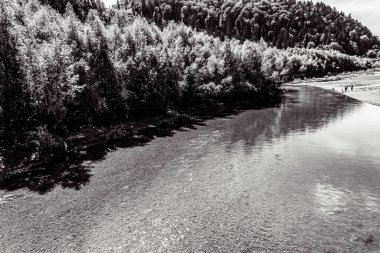 Ağaçlarla çevrili küçük bir nehrin gri tonlu görüntüsü ve dağlarda bir nehir.
