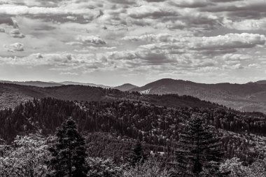 Ormandaki siyah dağların manzarası