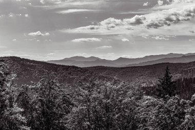 Arka planda ağaçlar ve çalılar olan dağların dikey gri tonlarında bir görüntüsü.