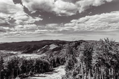Dağların siyah beyaz fotoğrafı