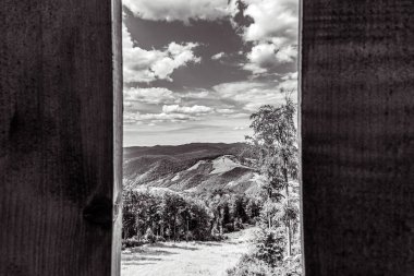 Ormanın güzel manzarası