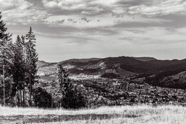Dağlı ve ağaçlı siyah ve beyaz manzara