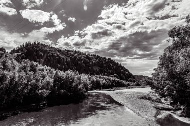 Nehir yazın ormanda akıyor.