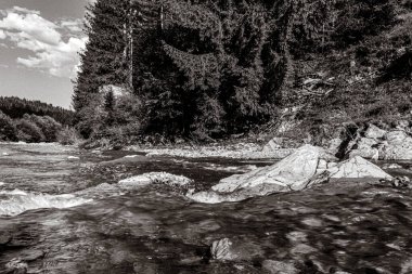 Ormandaki kayaların arasından akan bir nehrin dikey görüntüsü.