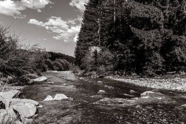 Nehir ve ağaçlarla dolu güzel bir manzara