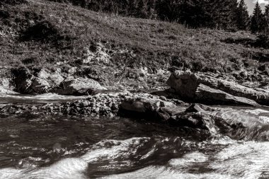 Dağlarda kayalarla dolu bir nehir Karpat dağlarında