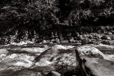 Dağlardaki dağ nehri ormanındaki şelale.