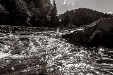 Ormanda siyah beyaz taşlar akan bir nehirden akan güzel bir dağ manzarası.