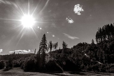 Dağ manzarasının siyah beyaz fotoğrafı