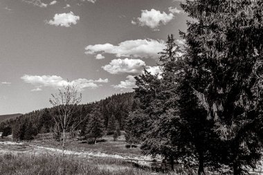 Karpatlar 'daki bir dağ manzarasının siyah beyaz fotoğrafı.