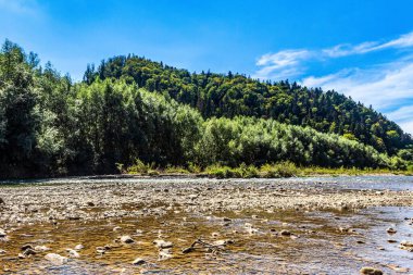 Karpat dağlarındaki dağ deresi, Ukrayna