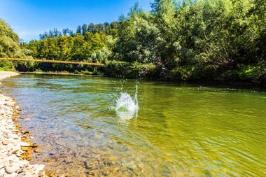 Peyzaj, Orman, Karpatlar, Doğa Fotoğrafları - Avrupa, Doğu Avrupa