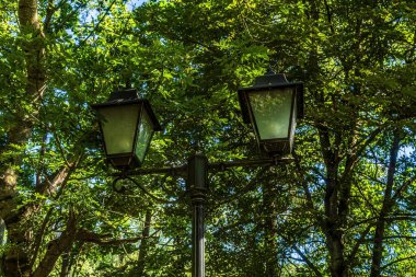 Yeşil bir ağacın ve mavi gökyüzünün arka planında bir fener
