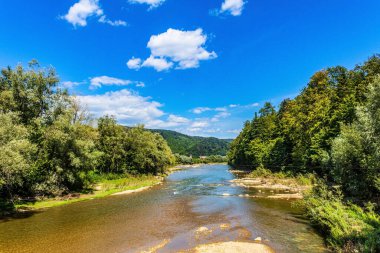 Karpatlar 'daki güzel dağ nehri.