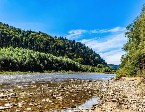 Göl ve ormanlı güzel bir manzara..
