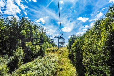 Yazın ormanın güzel manzarası