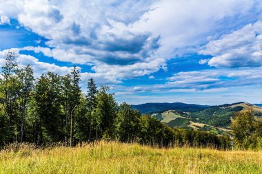 güneşli bir gün güzel dağ manzarası
