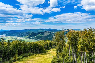 yaz aylarında güzel dağ manzarası