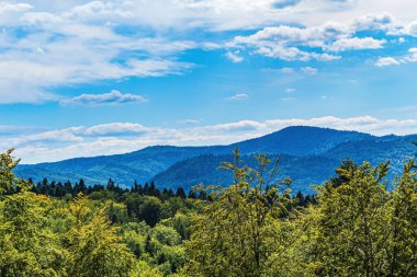 Karpat Dağları 'ndaki güzel yaz manzarası, Ukrayna
