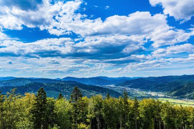 Yeşil tepeler ve mavi gökyüzü. Karpat Dağları, Ukrayna.