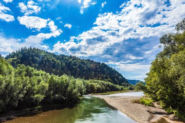 Ormanda nehri olan güzel bir manzara.