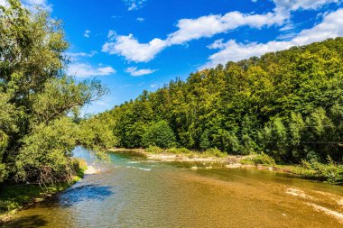 Ormandaki güzel nehir