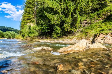 Ormandaki nehir. güzel dağ manzarası.