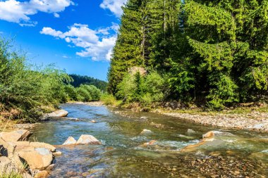 Dağlardaki nehir ve ormanın güzel manzarası