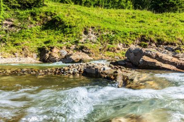 Ormanda şelale. Doğa, seyahat